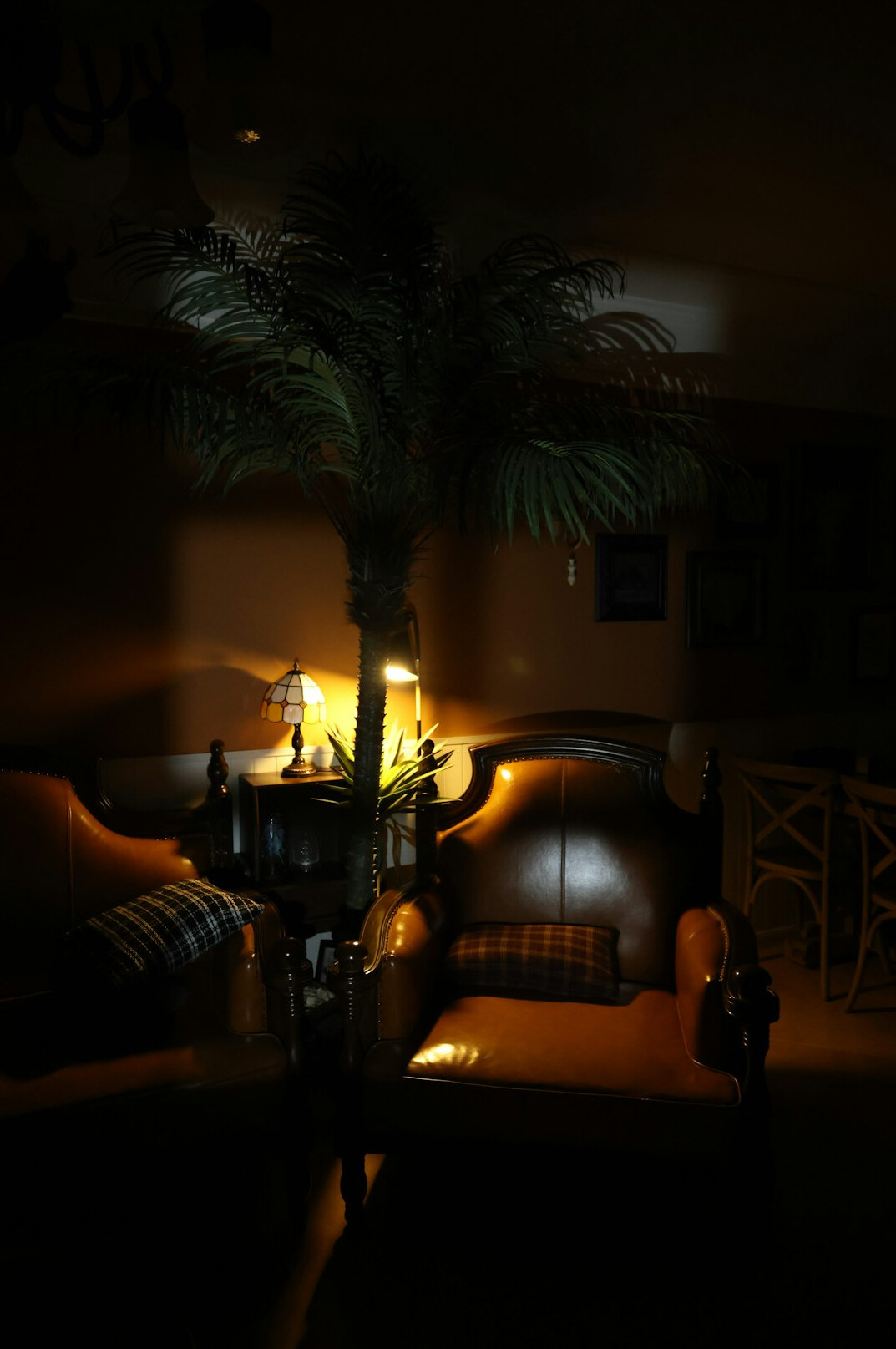 Cozy reception area with a sofa, plants and soft lighting